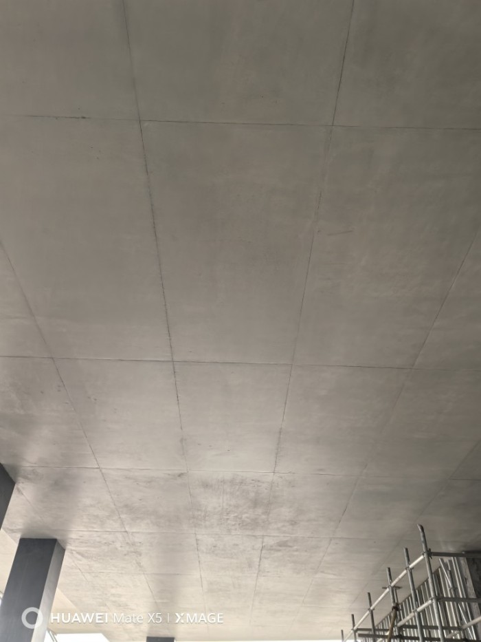 济南鹊山园博园诗莉莉度假酒店施工现场效果图6