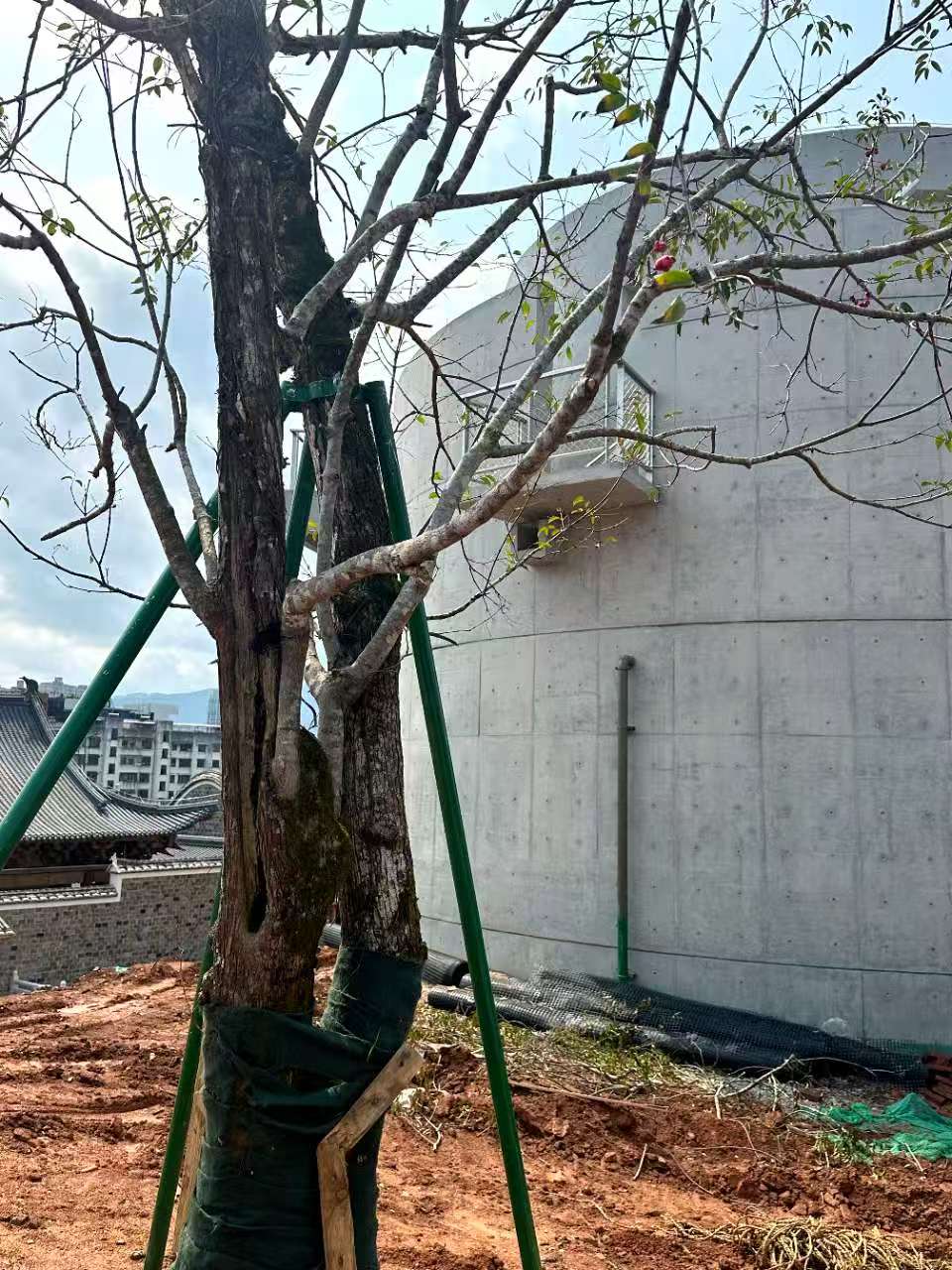 圆筒清水混凝土保护剂现场图片9