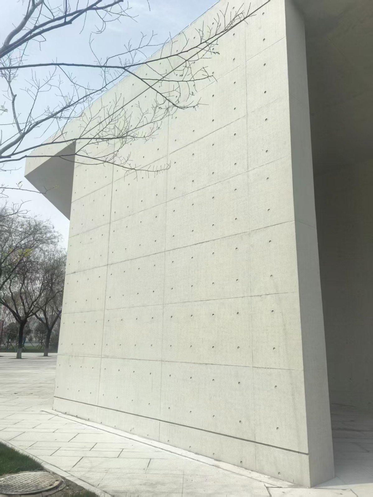 政务大厅外墙清水混凝土现场图片2
